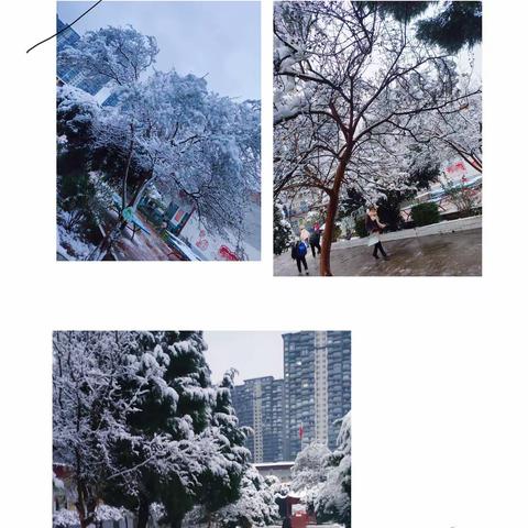 岁暮天寒，有雪如诗|记2023锦屏镇后庄小学第一次扫雪