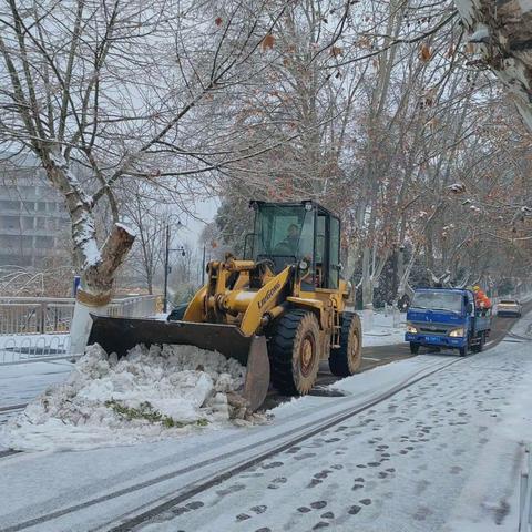 迎寒而上战冰雪，铲雪清障保通畅 ——总务后勤处物业服务中心全力做好冰雪恶劣天气应急处置工作