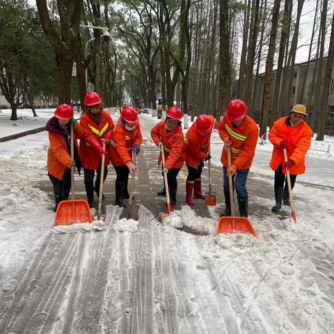 浴“雪”再战保畅通，铲冰除雪有速度 ——总务后勤处物业服务中心迅捷应对除雪保畅工作