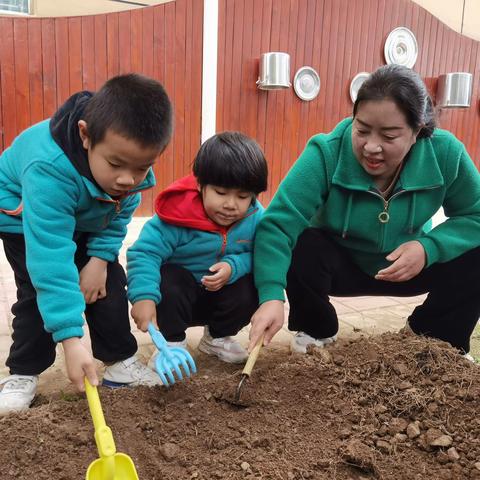 “小小种植园 劳动大能量”西安高新区第十九幼儿园种植活动