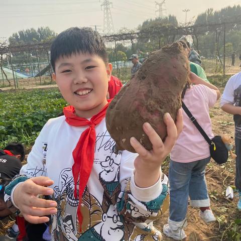 翠峰小学五四班秋游活动系列四：挖红薯专场一