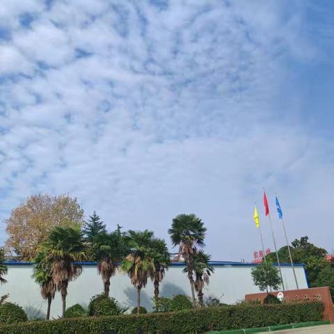 教学相长，教研同步---广阳一中英语组周工作总结（11月10日～11月15日）