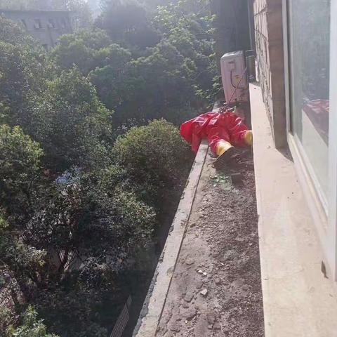 居然之家卫星站为民排忧解难成功摘除多起蜂巢