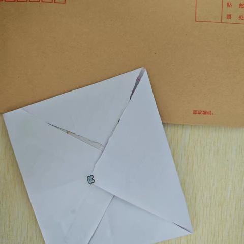 “以少年之名 向祖国致敬”——枣庄逸夫小学东校四年级级部“给2049年的自己写封信”主题活动