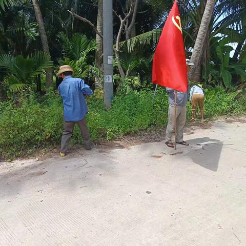 【良家庄村】环境整治“再发力”，登革热防控在行动