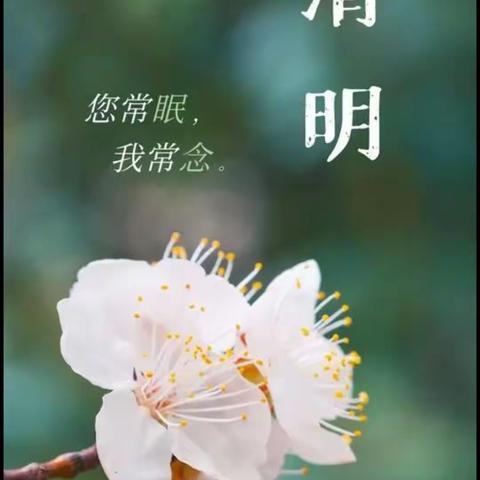 清明追忆英雄  丰碑砥砺前行——均河小学清明节祭扫烈士陵园活动