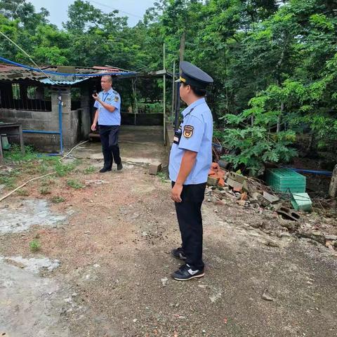 海口市综合行政执法局龙华分局农林行政执法大队工作汇报（2023年6月15日）