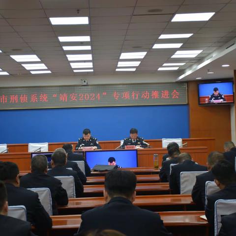 我市召开刑侦系统“靖安2024”专项行动推进会