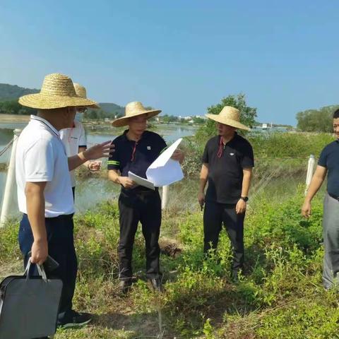 生态环境部珠江南海局对我县开展农村黑臭水体治理情况检查工作