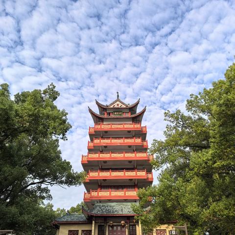 嘉芯幼儿园小一班“火炬手运球”