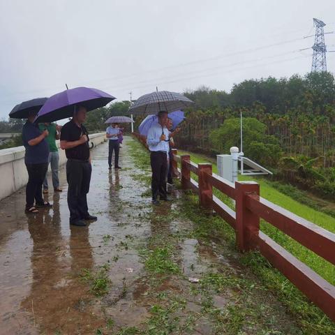 【英州镇】加强水库安全检查  确保雨季水库安全度汛