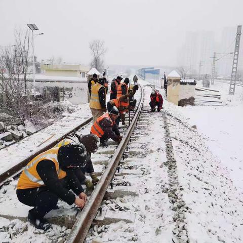 白雪天地间的金黄乐符
