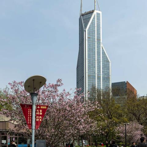 徜徉在人民公园海棠花中的现代建筑