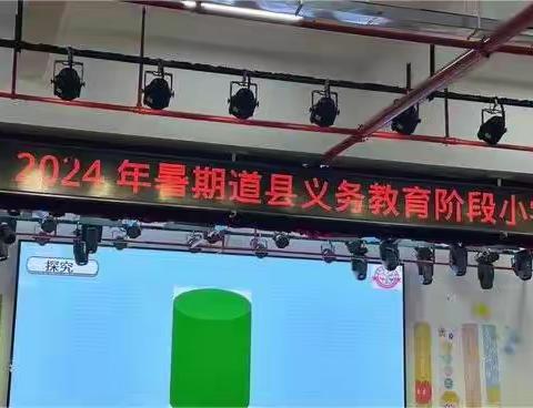 聚焦教学实践与理论融合—2024年暑期道县义务教育阶段小学数学培训