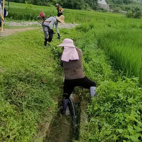农田灌溉水渠清淤除草专项行动