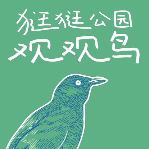 2311班马小然学习小组 八上生物观鸟记录