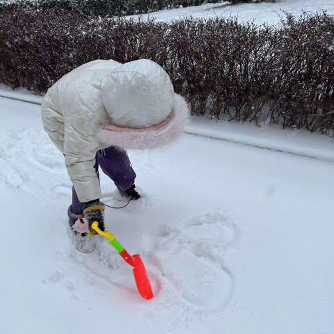 邂逅冬雪，童心盎然——胜利路小学一年级《雪地里的小画家》语文主题实践活动纪实