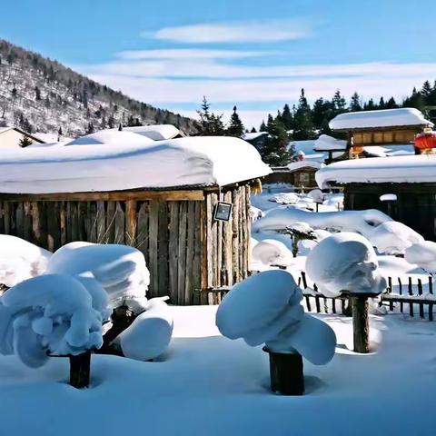 听说，下雪天和写作更配哦——胜利路小学中年级语文实践活动纪实