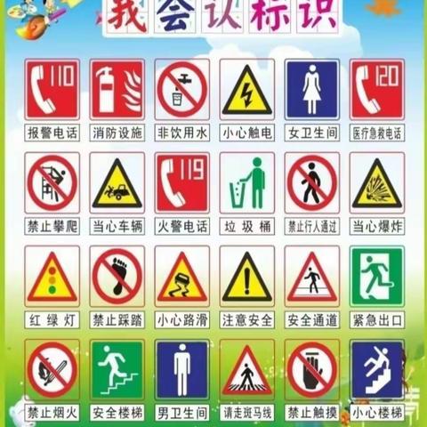 符号的秘密——大班课程故事