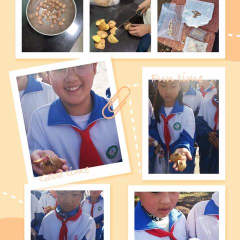 附城小学劳动实践活动——五2班种“花生”“甜瓜”“土豆”