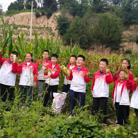 劳动最光荣 实践出真知——冯家屯小学五年级三班劳动实践活动