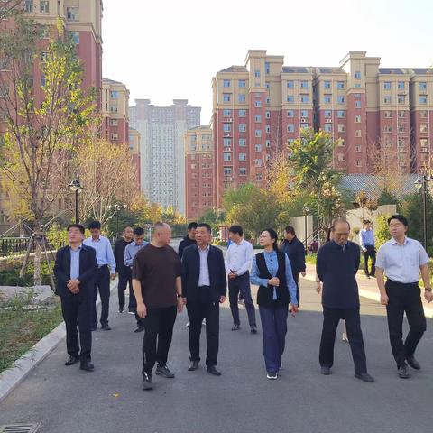 房镇镇董家村11月份工作动态