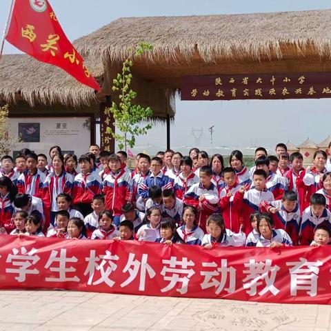 走进“欣农兴”基地     感受农业魅力-----城关学区西关小学学生校外劳动教育实践活动