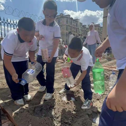 夏意渐浓，耕种当及时 ——德彪小学耕种校田地纪实