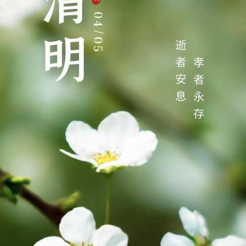 清明节主题班会