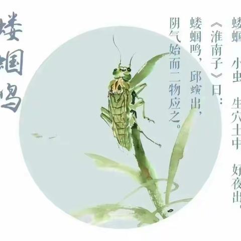 立夏至万物长（立夏）—鄠邑区幼儿园舌尖上的二十四节气之幸福餐桌活动