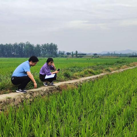 汉中:深入田间农情调研 保驾护航农业生产