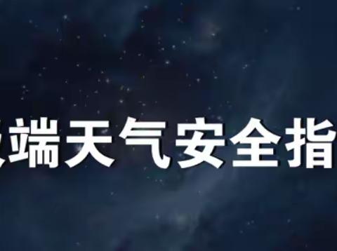 河西区第二中心小学暑期安全教育——极端天气注意事项