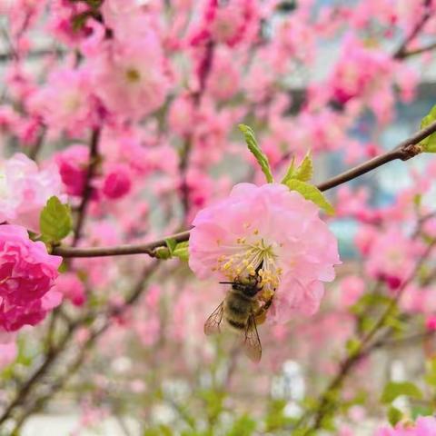 101班春暖花开，为你而来！