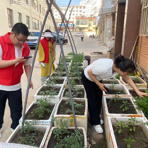 禁种铲毒行动，筑牢禁毒防线