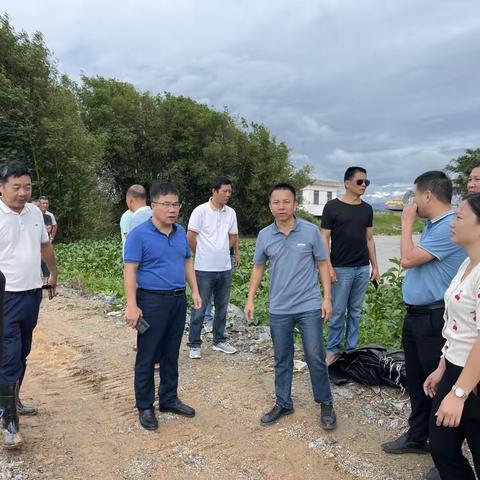 岭门镇：决战风雨心系群众安危，奋战抢险坚持人民至上