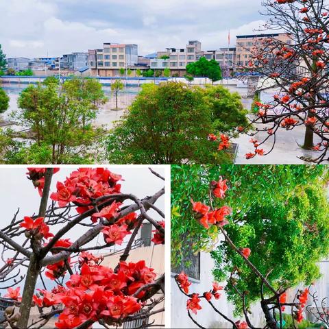 阳光大课间，活力满校园——来宾市兴宾区小平阳镇中心小学大课间活动