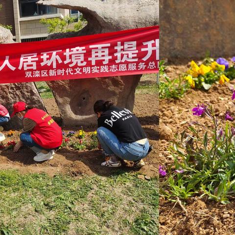 【秀水街道】福溪帝苑社区携手城管局开展“种花植绿添新景，人居环境再提升”志愿服务活动