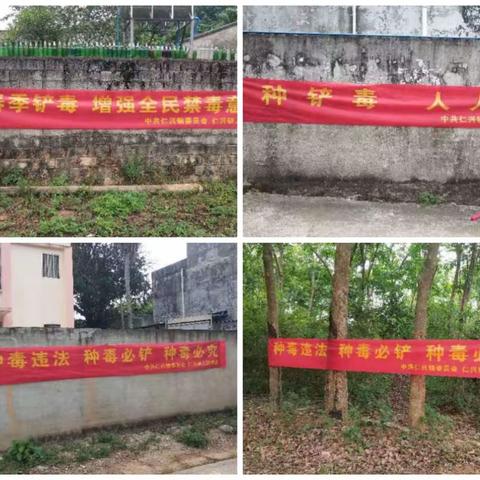 澄迈县仁兴镇开展“禁种铲毒”踏查专项行动