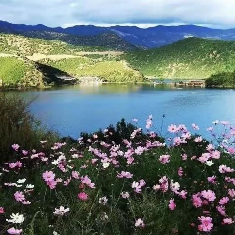 时间让人长大，空间让人“心大”（怎样让“环境描写”更具体）