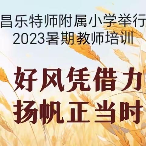 好风凭借力，扬帆正当时——昌乐特师附小举行2023年暑期教师培训