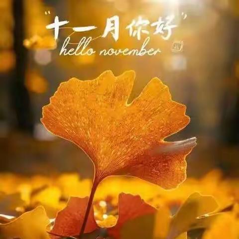 鸿景雅苑客户服务中心 ﻿2025年11月工作汇报