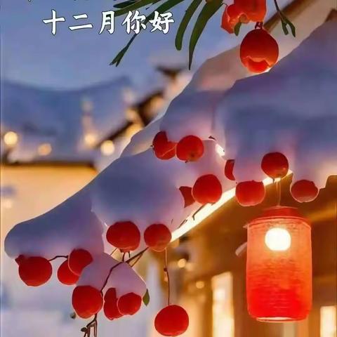 鸿景雅苑客户服务中心 2025年度工作汇报