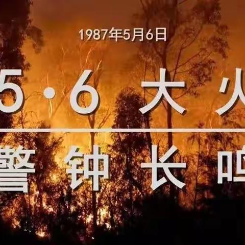 牢记“五•六” 警钟长鸣——翠峰林场开展“五六反思日”宣传活动