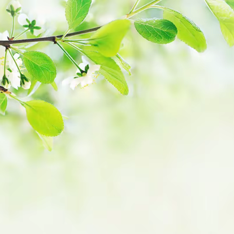 健康进社区，义诊暖邻里——向荣社区开展义诊活动