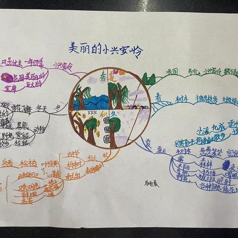 20课思维导图展示