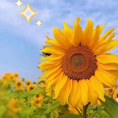 测试无纸笔，“双减”促成长——记紫玉小学无纸笔测试