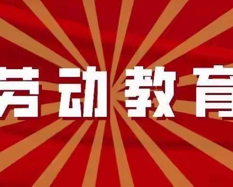 “知行合一、德技并修”——魏庄街道中心学校劳动教育年度总结