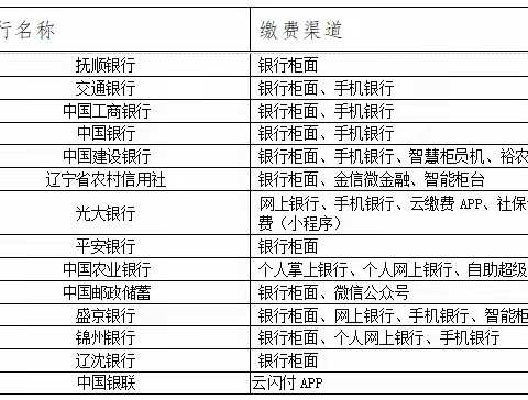 石文镇2024年度城乡居民医疗保险缴费在行动