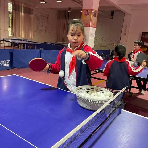 【寻梦而行 向阳而生】～三六班班级美篇