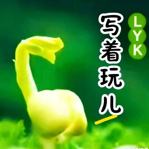 【智·慧颍川】小手写童趣，成长留印记——颍川路学校三年级“写着玩儿”实践活动10